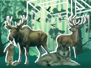 II Международная дистанционная олимпиада по биологии «Млекопитающие» для школьников 5-11 классов, студентов и педагогов