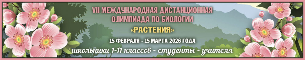 Дистанционные олимпиады