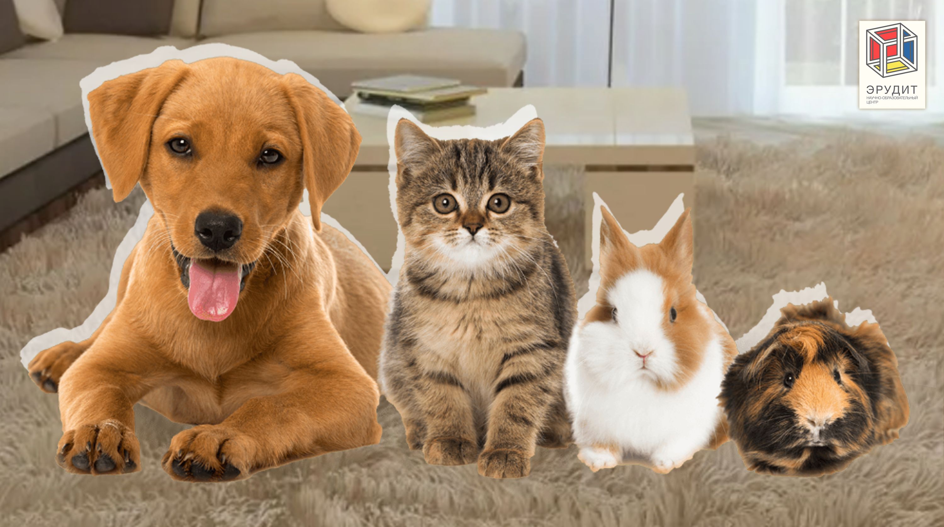 Разговоры о важном