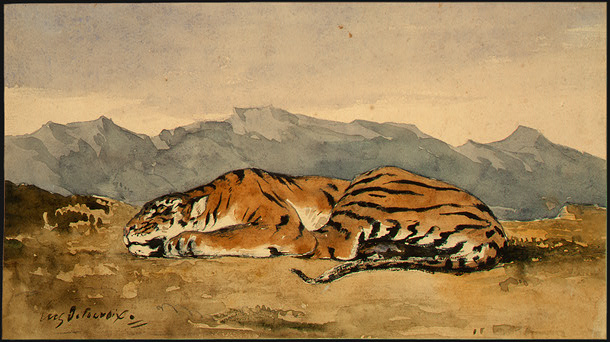 Тигр (1830)
